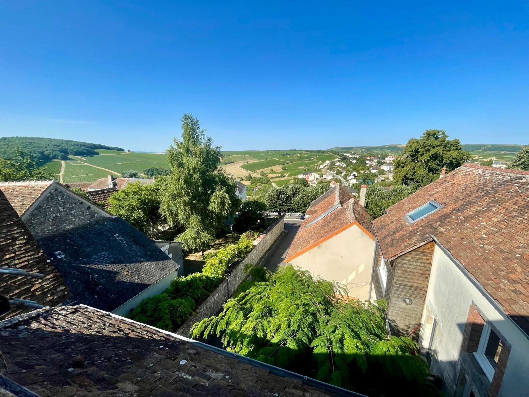 Appartement Cosy Vue Sur Le Vignoble Sancerre Exteriör bild