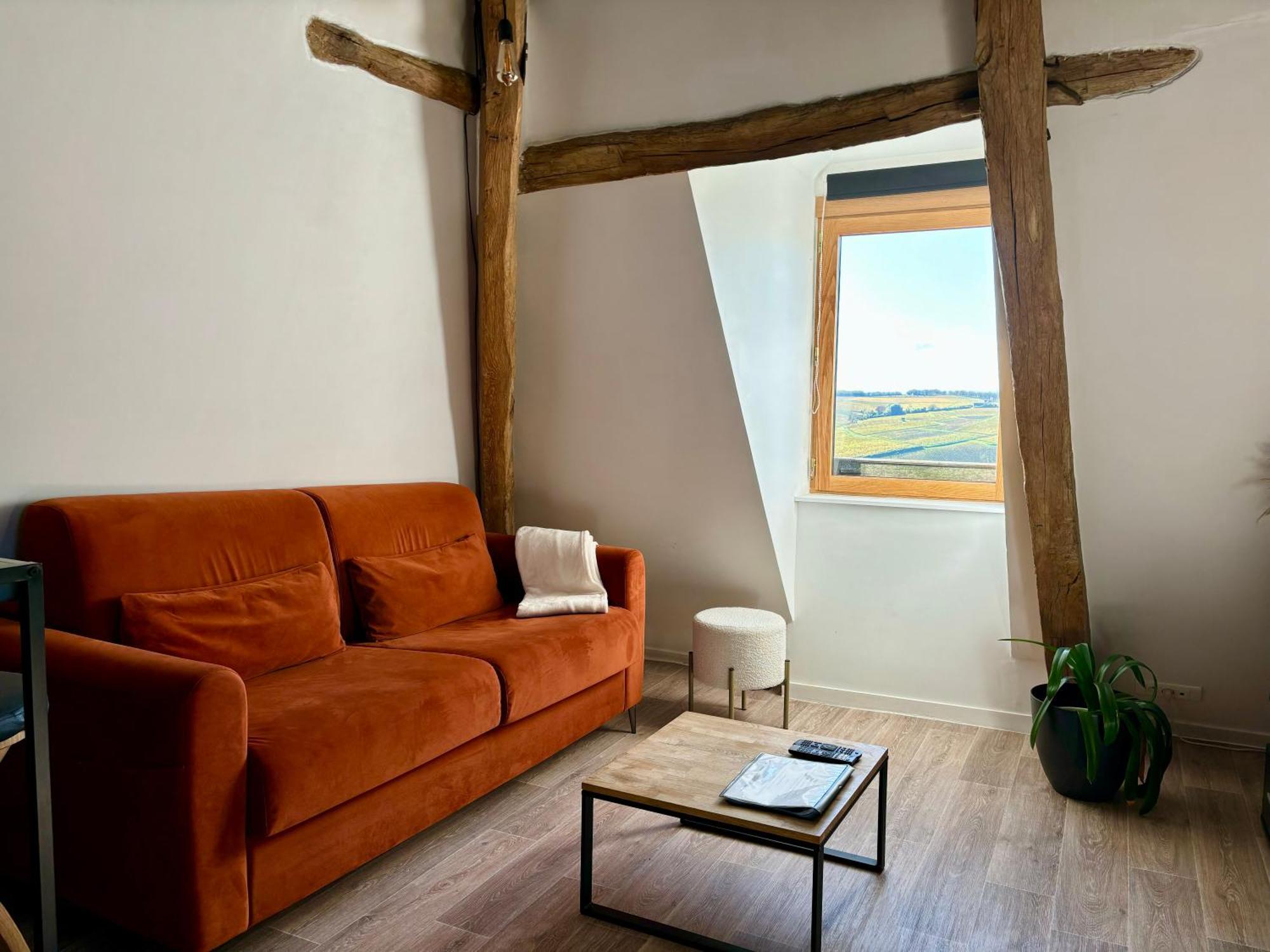 Appartement Cosy Vue Sur Le Vignoble Sancerre Exteriör bild